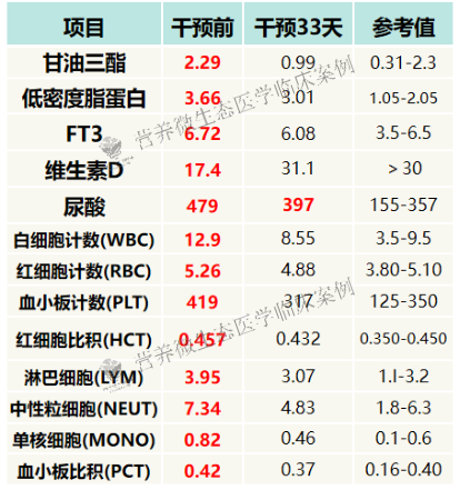 仅3个月，肥胖、脂肪肝、尿酸、免疫、失眠等，均一并改善！